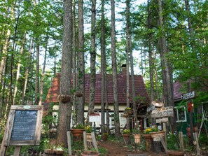 Property grounds - The squirrel's guesthouse Canterbury (Nakasatsunai)