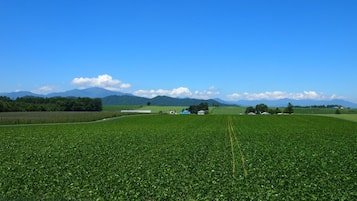 A vast green field with a clear sky and distant mountains.