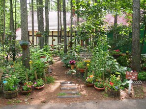 Property grounds - The squirrel's guesthouse Canterbury (Nakasatsunai)