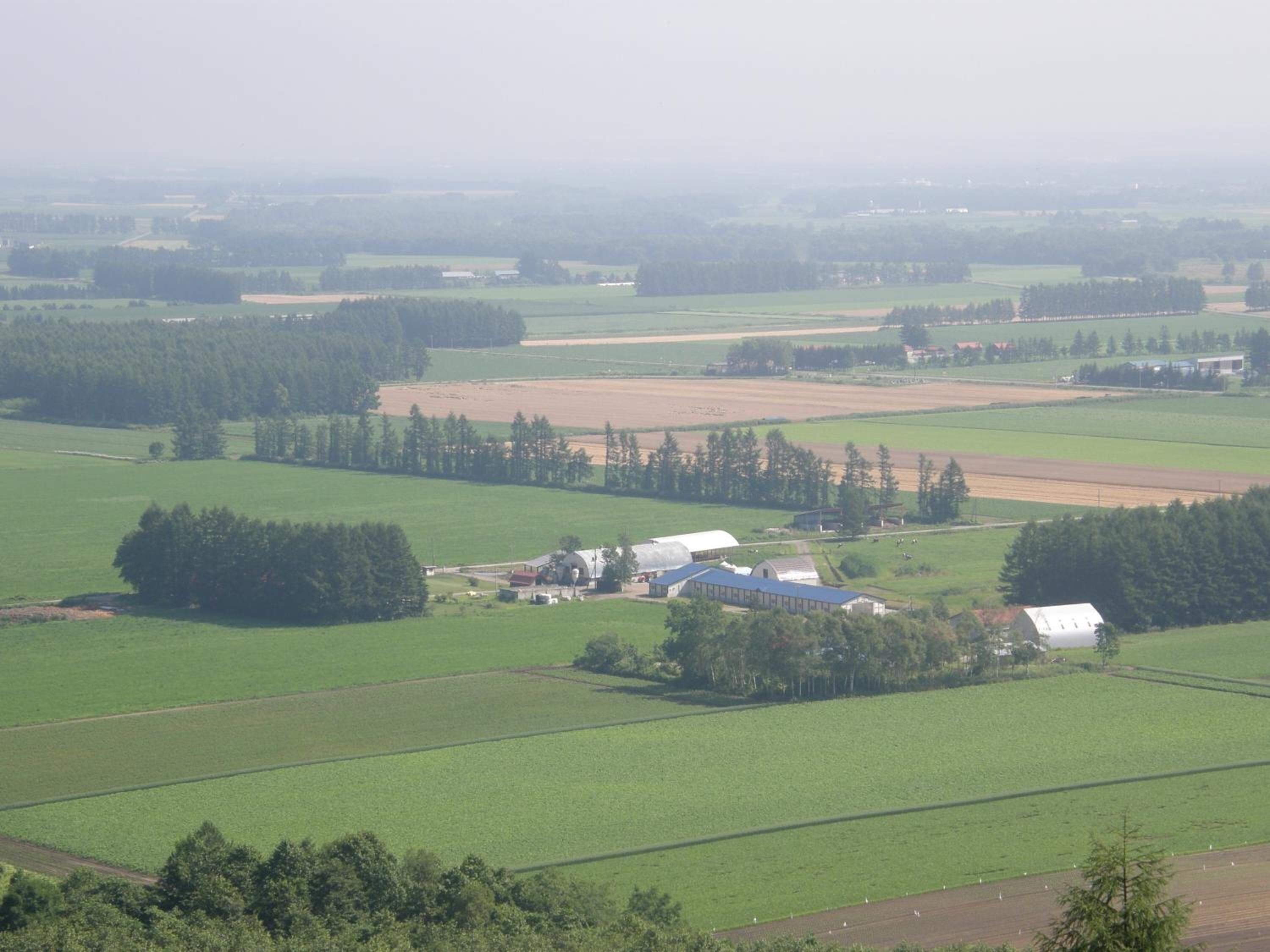 A rural landscape with fields, trees, and farm buildings.