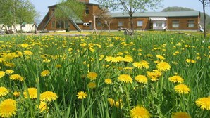 A field of yellow dandelions in front of a brick building with a tower. - Kussharo Genya Youth Guesthouse – Hostel (Teshikaga)