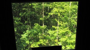 A window with a view of a dense forest. - Pension & Restaurant Bistare Kana (Niseko)