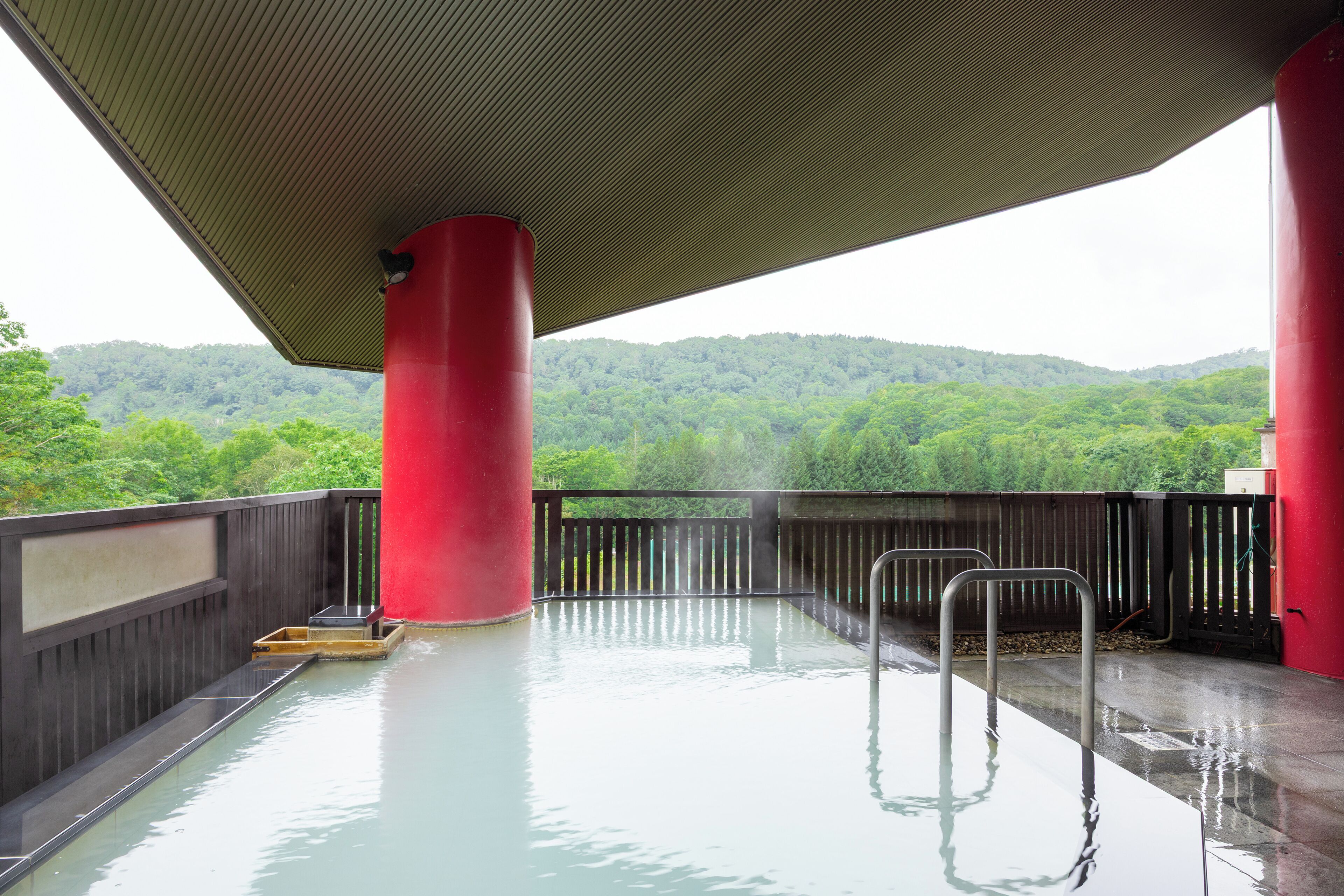 A rooftop pool with a view of a forested hillside.
