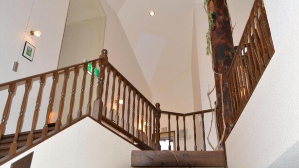 Un escalier avec des rampes en bois et un tronc d’arbre intégré à la conception.