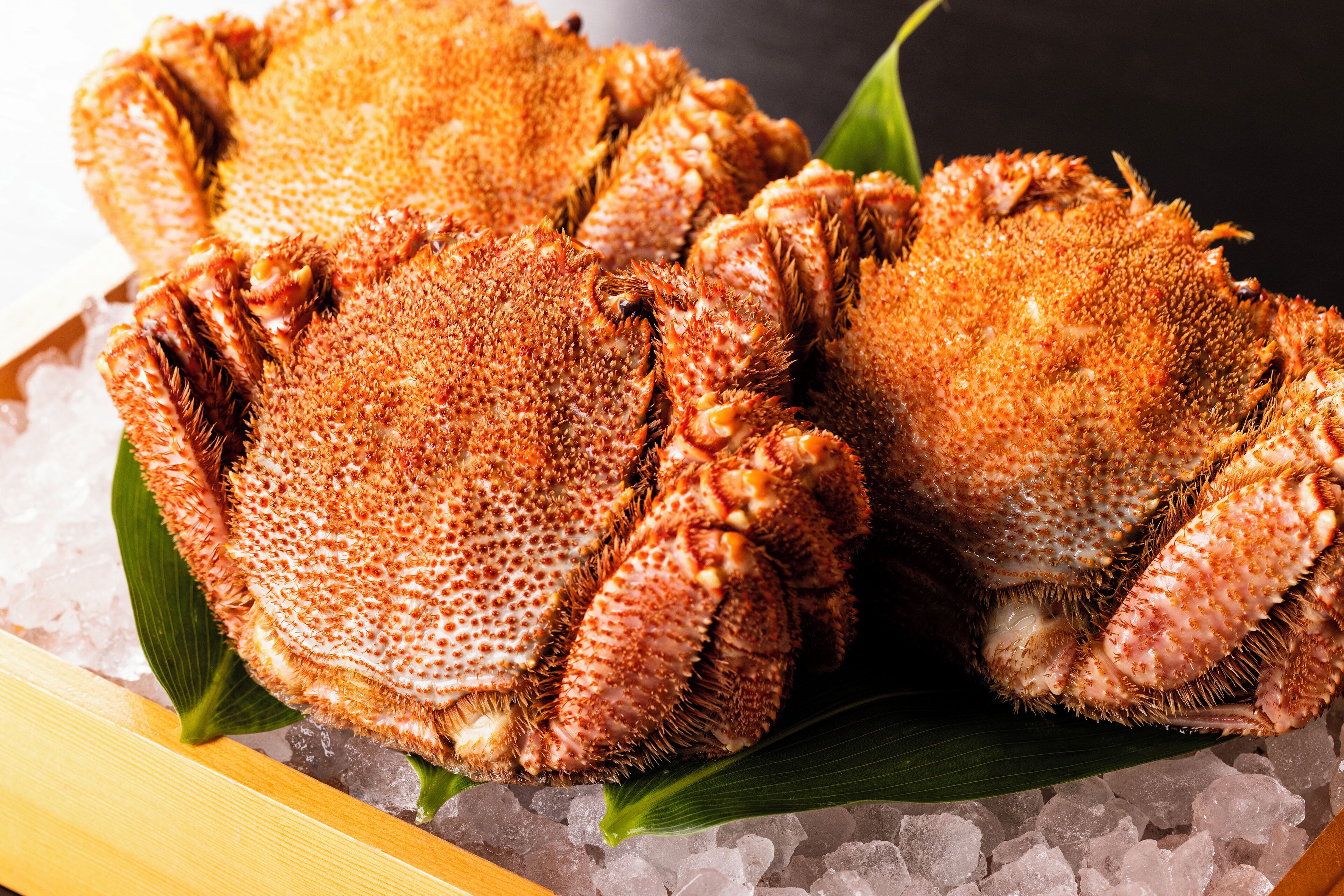 breakfast, lunch and dinner served