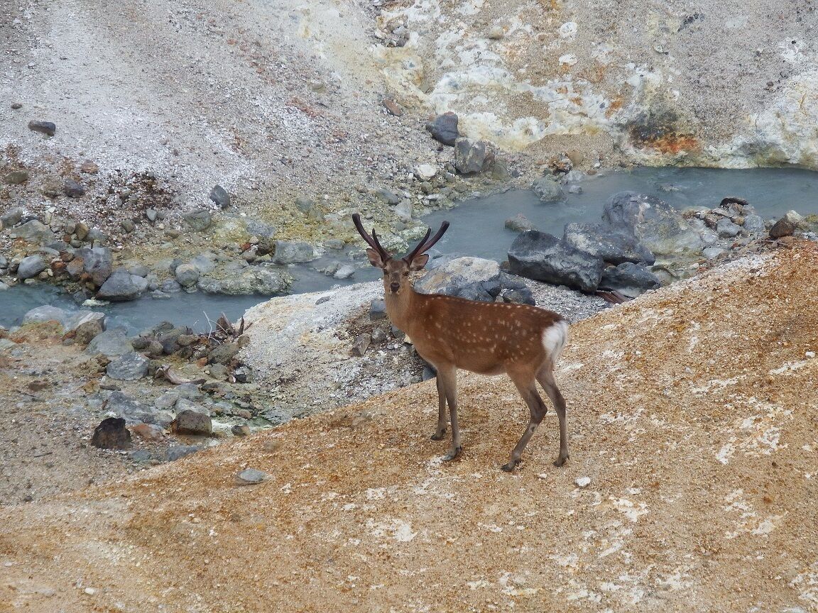 ハイキング