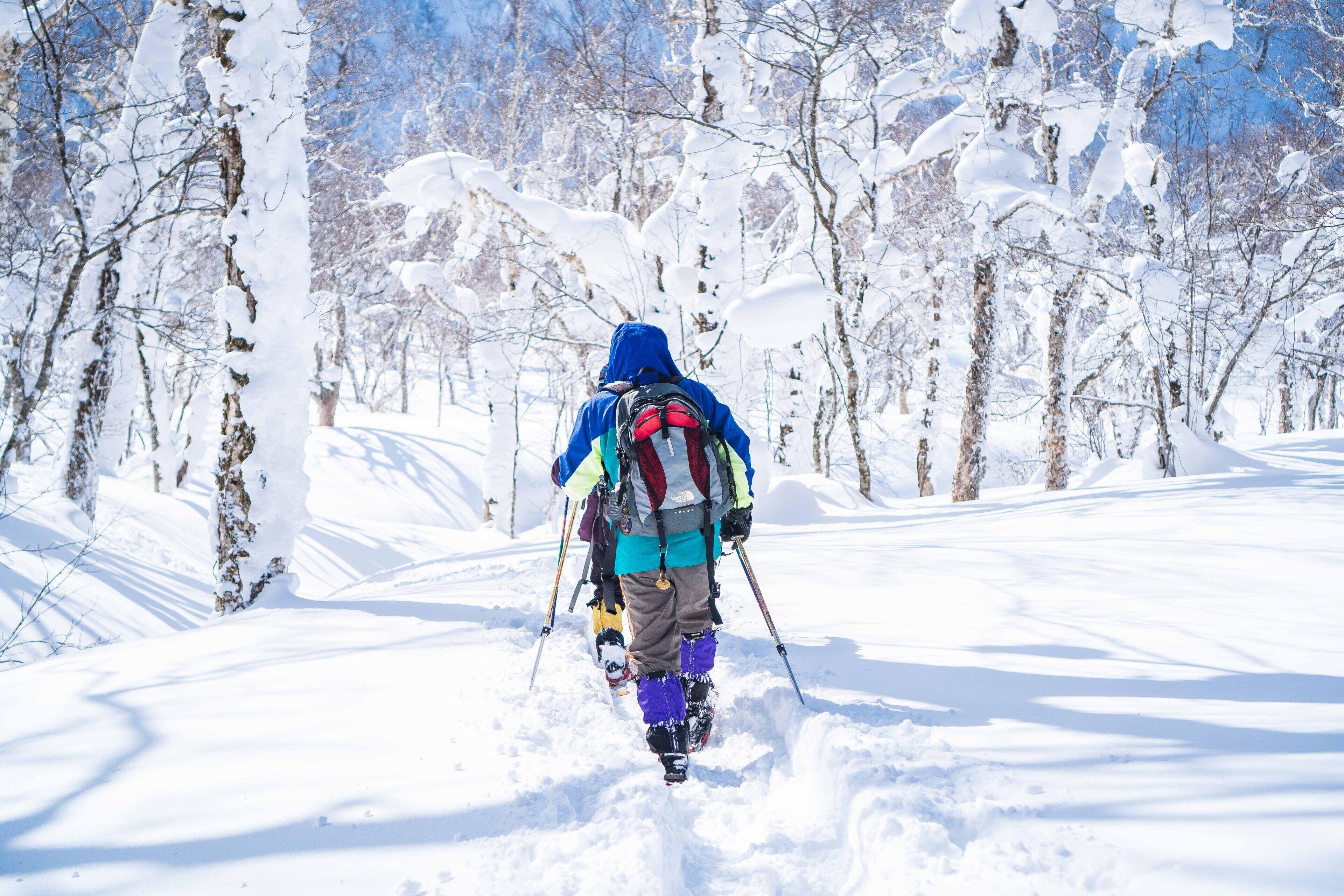 Sentiero innevato in una foresta, con una persona che indossa un giubbotto blu e porta uno zaino.
