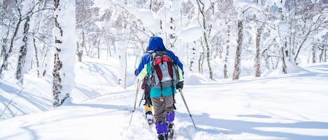 A snowy forest path with a person wearing a blue jacket and carrying a backpack.