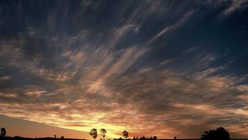 A sunset over a flat landscape with silhouettes of trees and a clear sky.