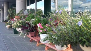 A row of potted plants and flowers in front of a building with large windows and pillars. - Hotel Sunfuraton (Furano)