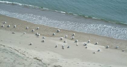 Seaside Hotel Kamome