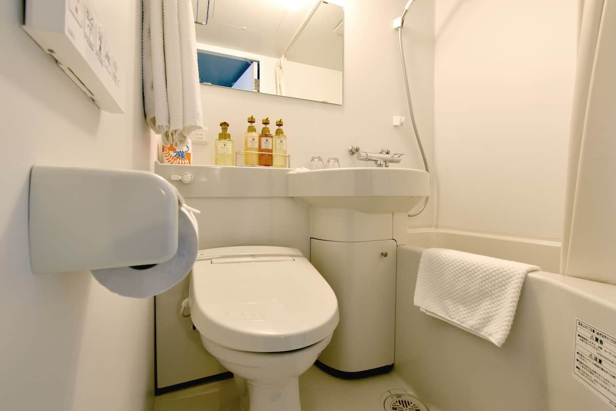 combined shower/bathtub, free toiletries, hair dryer, slippers