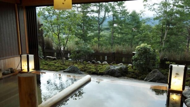 Una tranquilla vasca termale interna con interni in legno, vista su un rigoglioso giardino e un sentiero in pietra che conduce all'acqua.