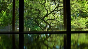 A view through a window with a large tree and reflections on the glass. - Ikuji Onsen TANAKAYA (Kurobe)