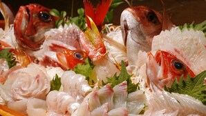 Comida y bebida