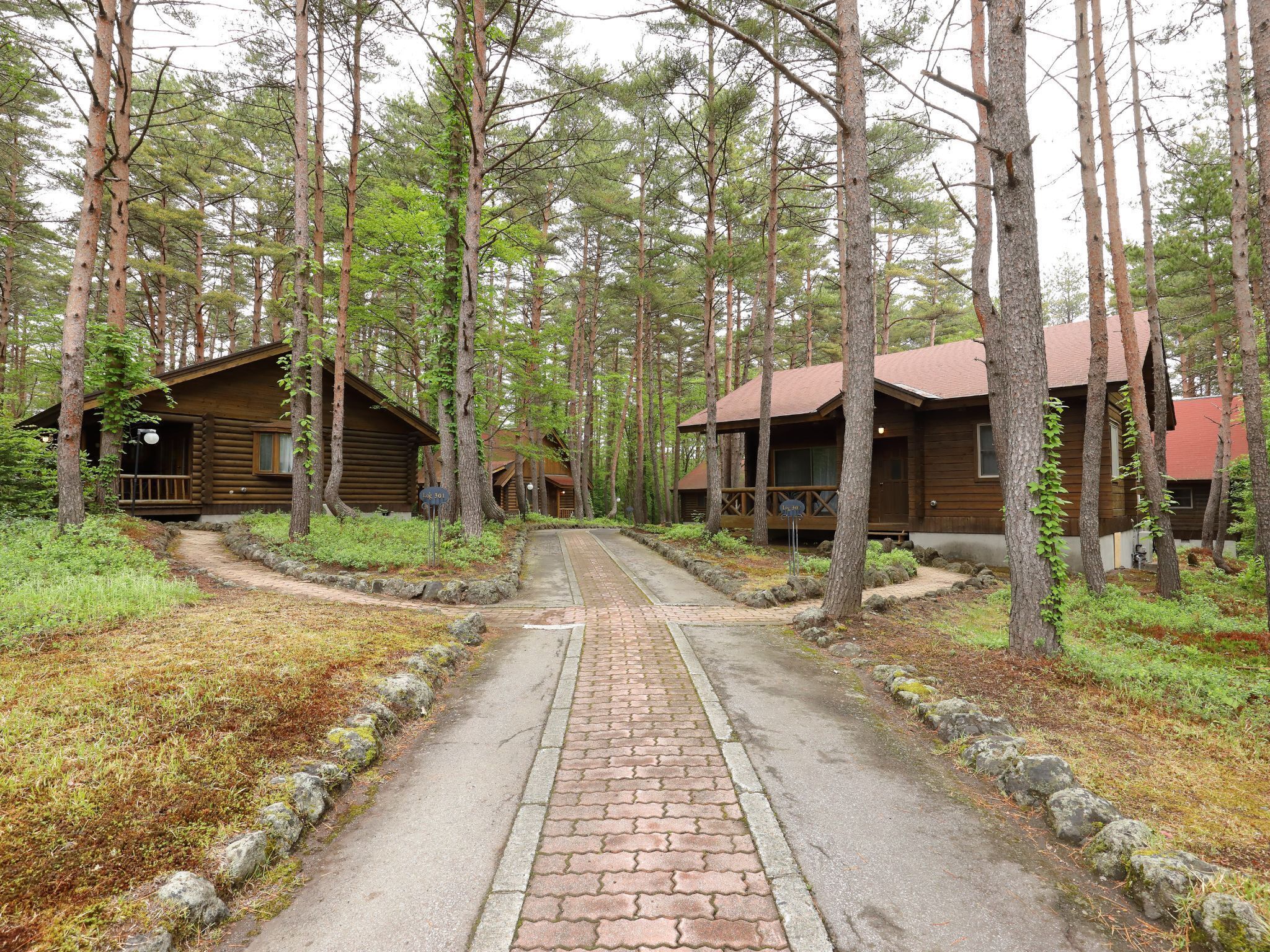 A forested area with a paved path leading to wooden cabins.