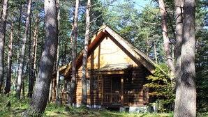 A log cabin surrounded by tall trees in a forest. - Holiday Villa Hotel & Resort Karuizawa (Tsumagoi)