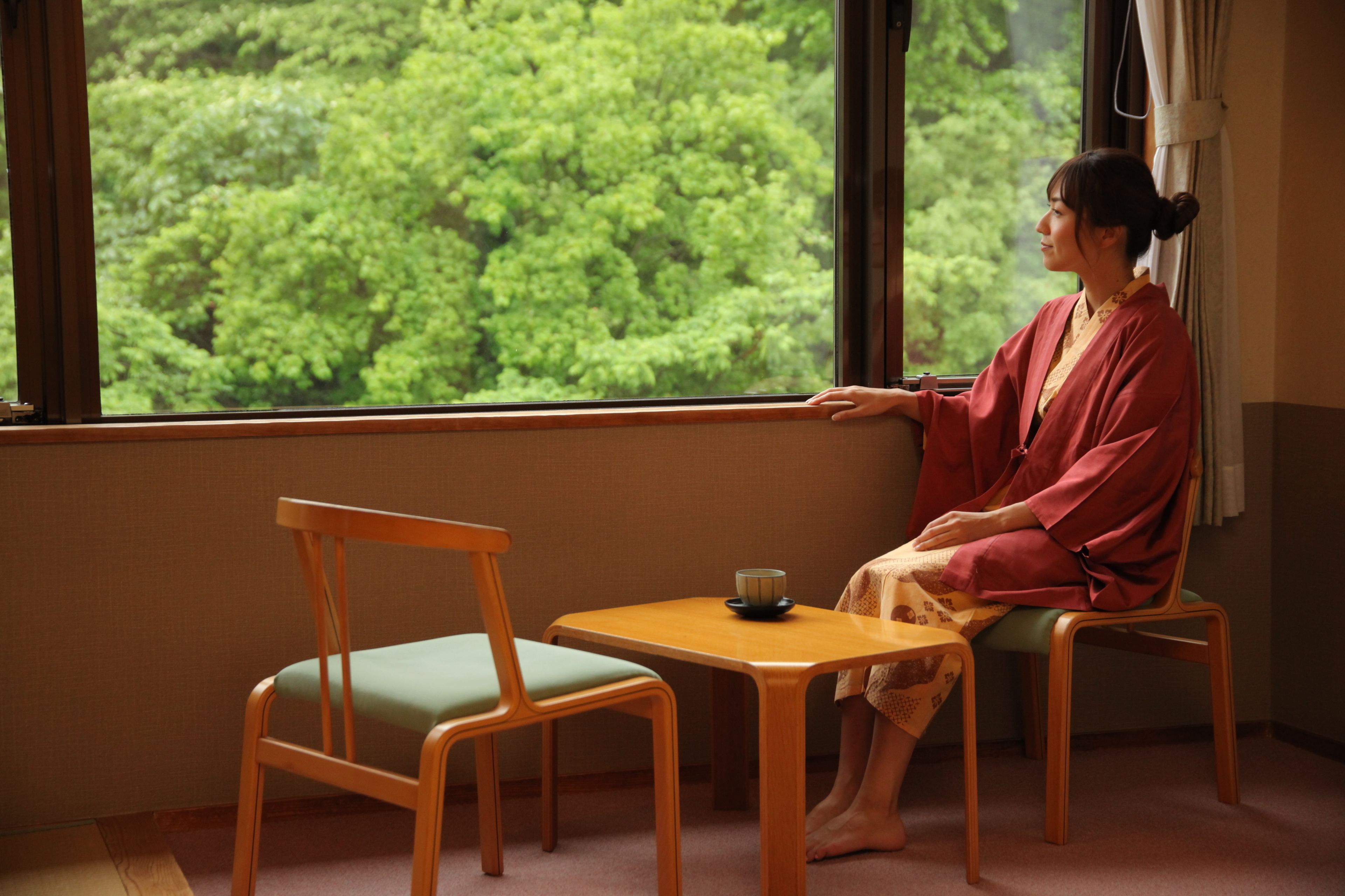 Vista desde la habitación