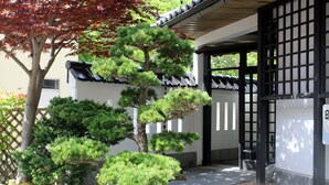 Un edificio japonés tradicional con un sendero de piedra, un pino y una valla de madera.