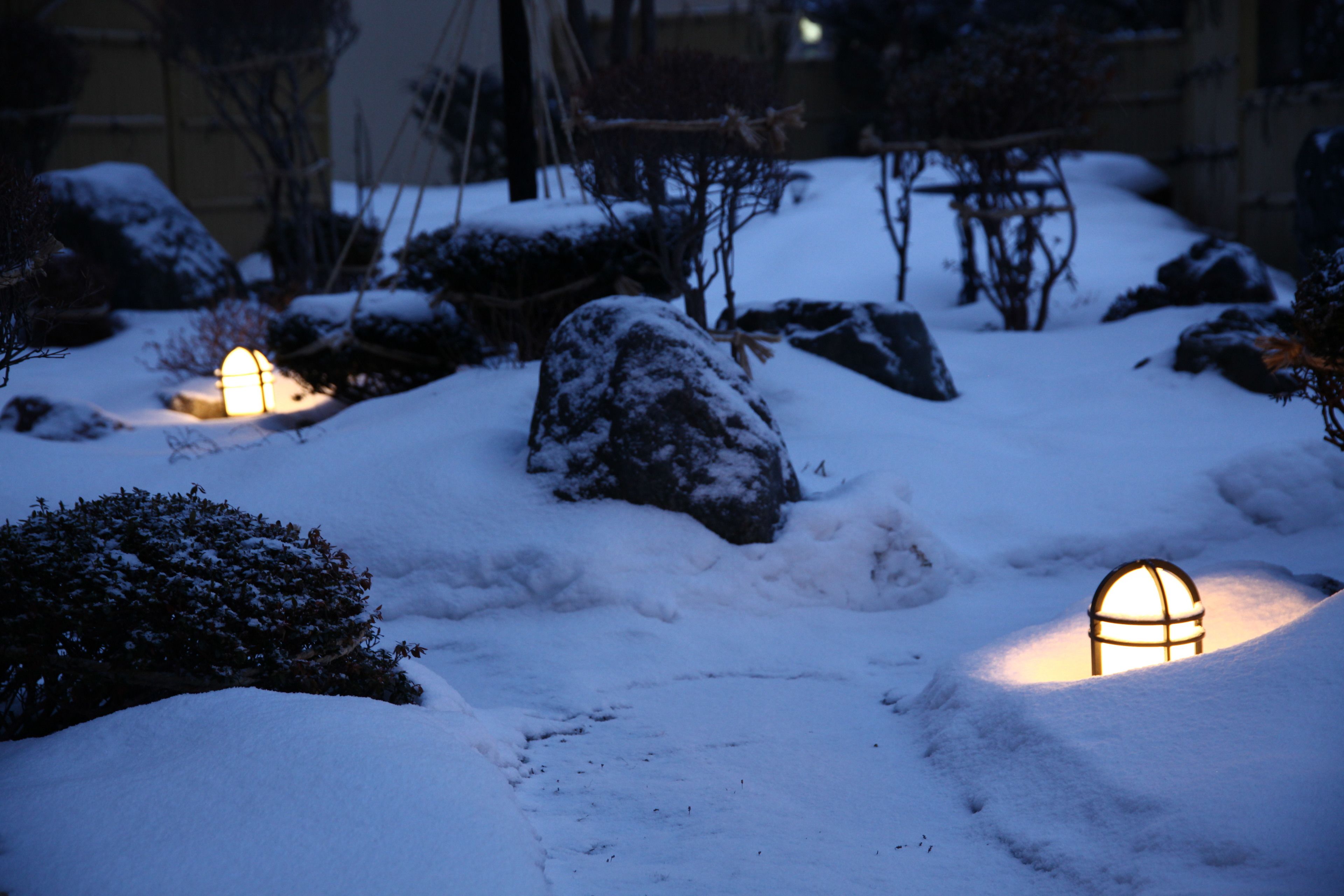 Un jardín cubierto de nieve, con rocas y un camino.