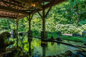 Hot springs - Kamenoi Hotel Tazawako (Senboku)