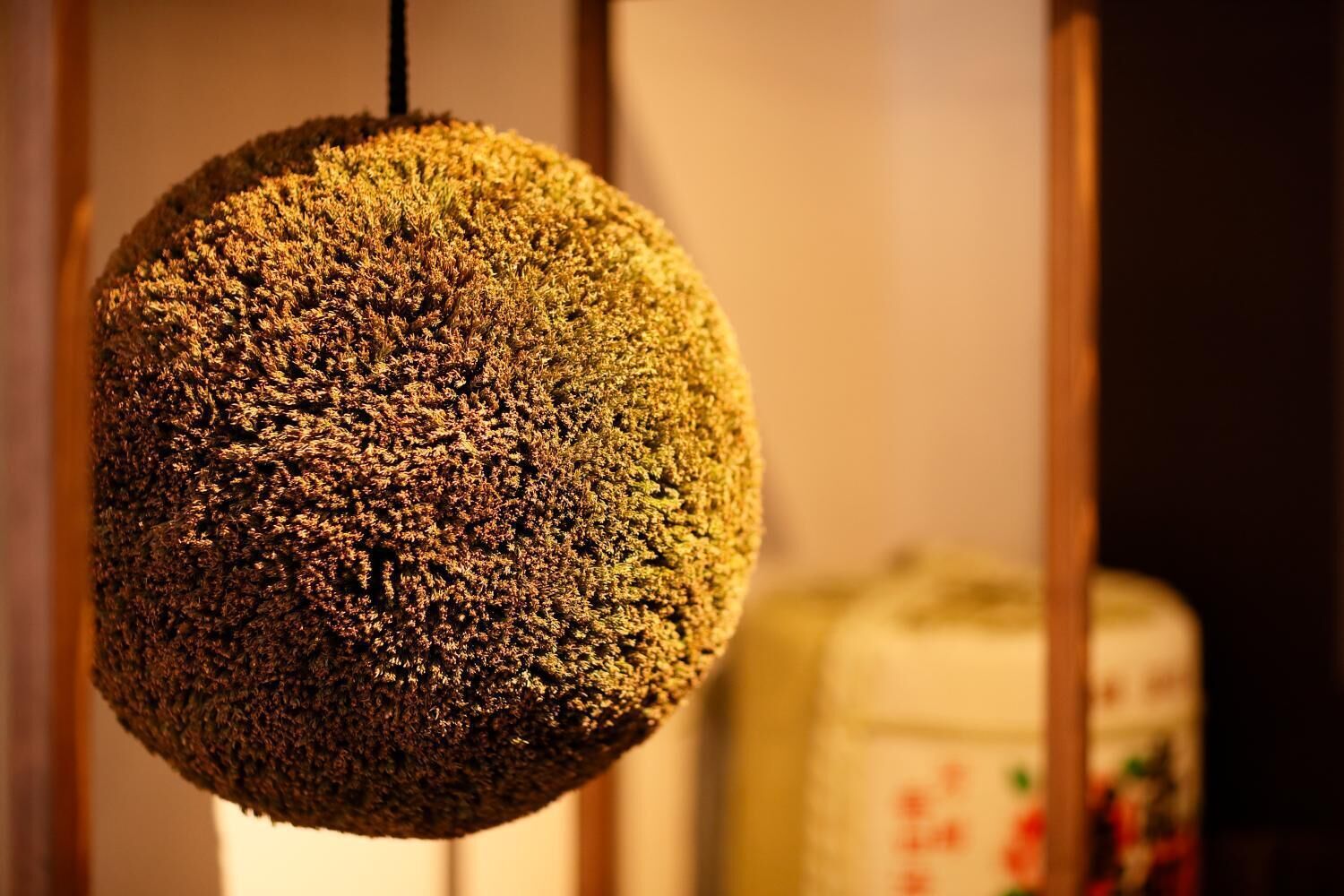 A spherical object hanging from a ceiling, possibly a decorative item or a piece of art.