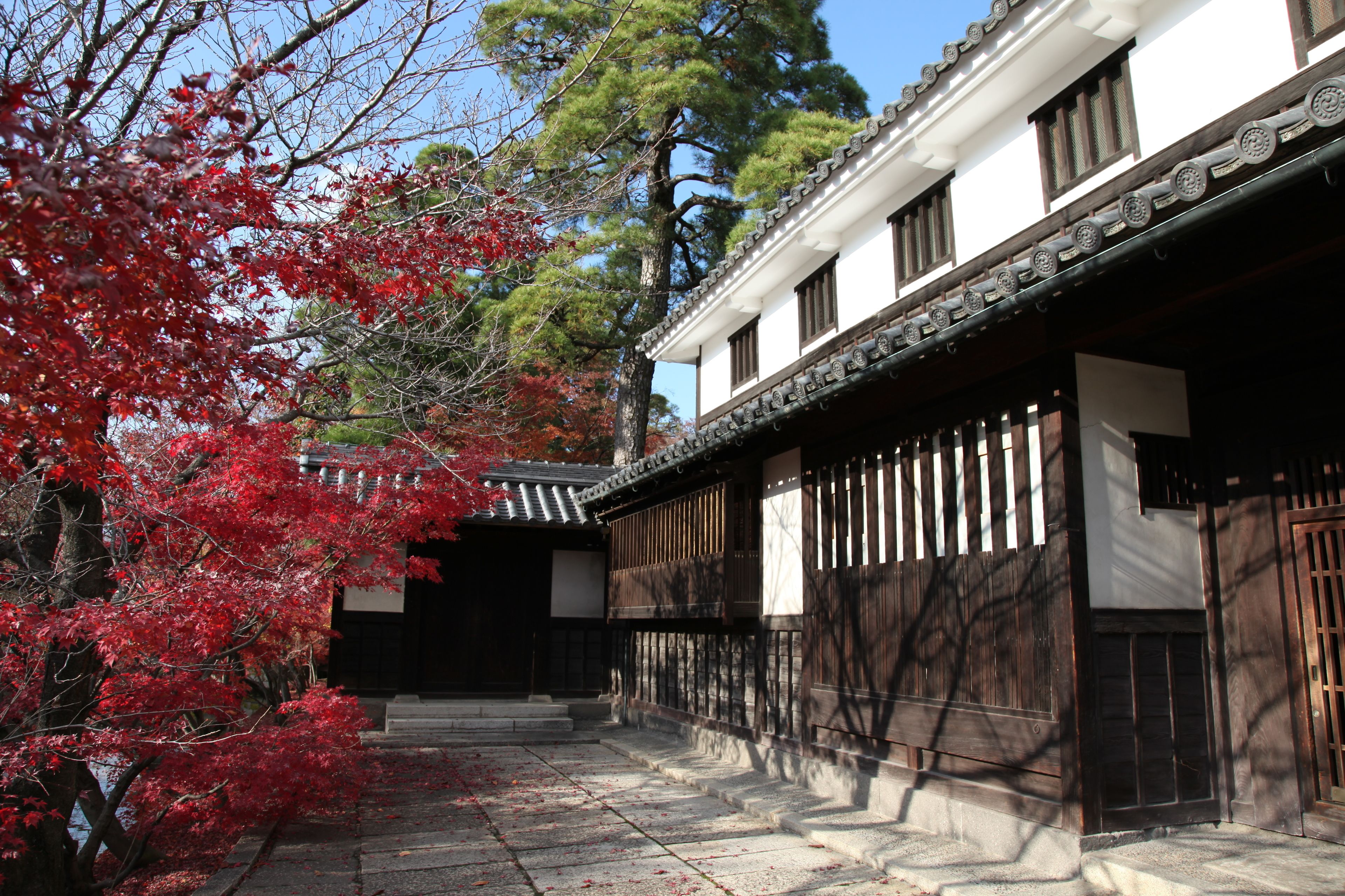 住宿內陸景