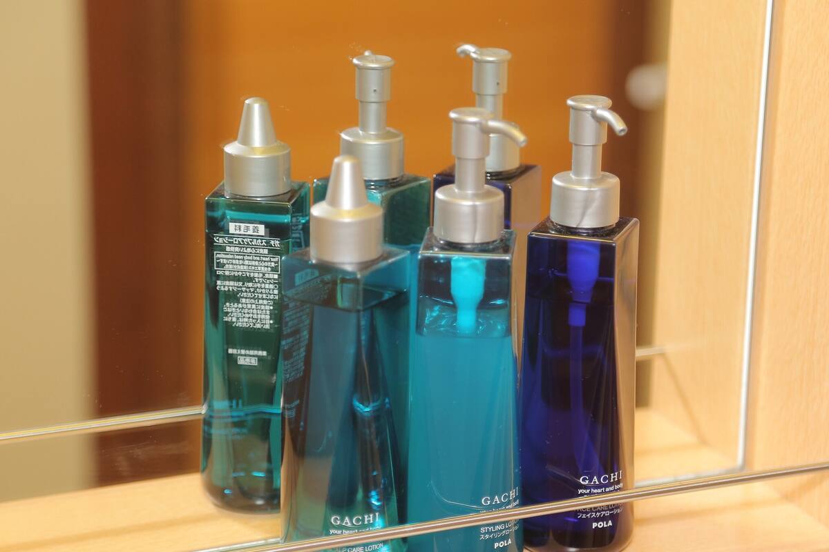 Sèche-cheveux, chaussons, toilettes avec bidet électronique