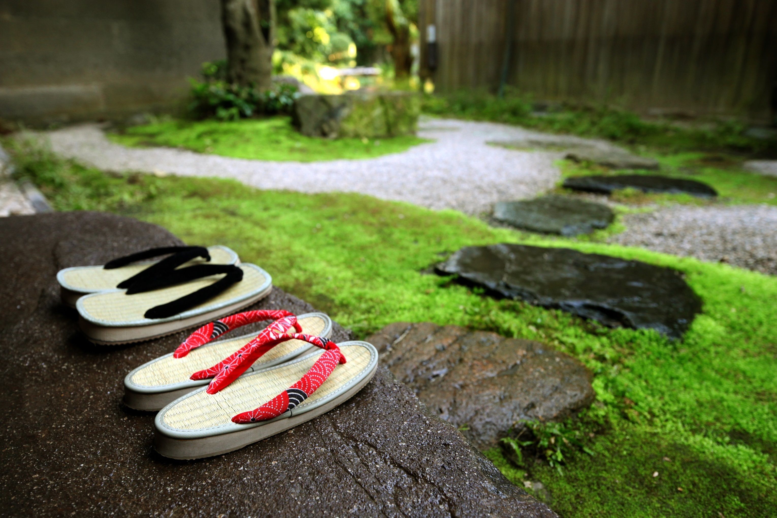 Un par de chanclas sobre una roca cubierta de musgo en un jardín con un camino de piedra.