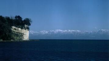 A coastal landscape with a cliff, a body of water, and snow-capped mountains in the background.
