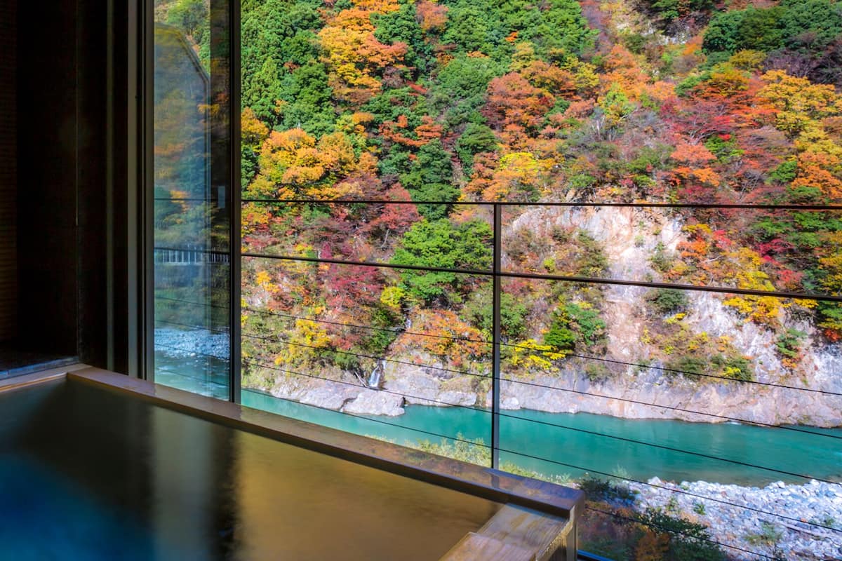 A hot spring with a view of a forested hillside.