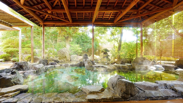 A traditional Japanese onsen with a wooden roof and stone surroundings. - Ooedo Onsen Monogatari Awara (Awara)