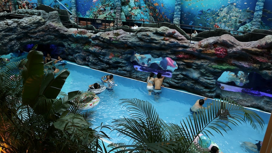 스파 리조트 하와이안스 비르 포트