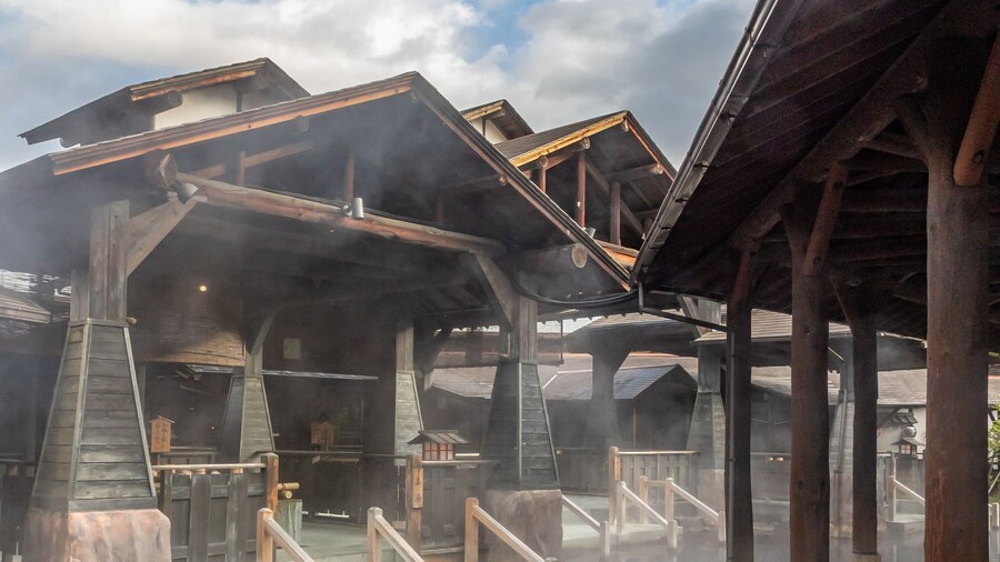 Spa Resort Hawaiians ViR Port