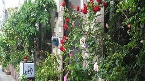 A narrow street with a building adorned with red flowers and a sign indicating a pedestrian area. - Hotel Kakuban (Yonago)