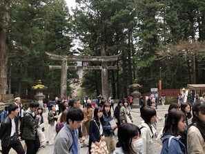 A traditional Japanese torii gate surrounded by dense forest. - Akari No Yado Villa Revage (Nikko)