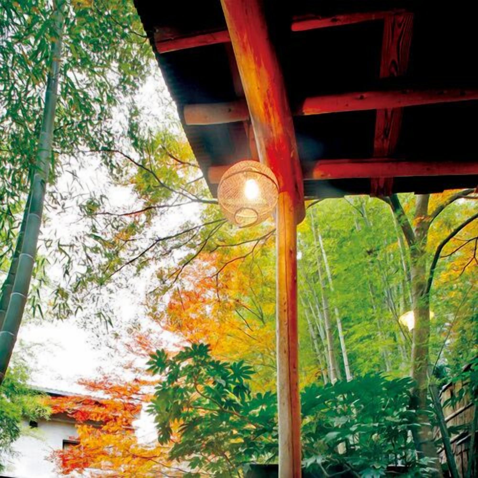 A wooden structure with a hanging light fixture, surrounded by trees with autumn foliage.