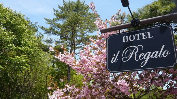 Skilt for "HOTEL il Regalo" mod en baggrund af blomstrende lyserøde træer og en klar blå himmel.