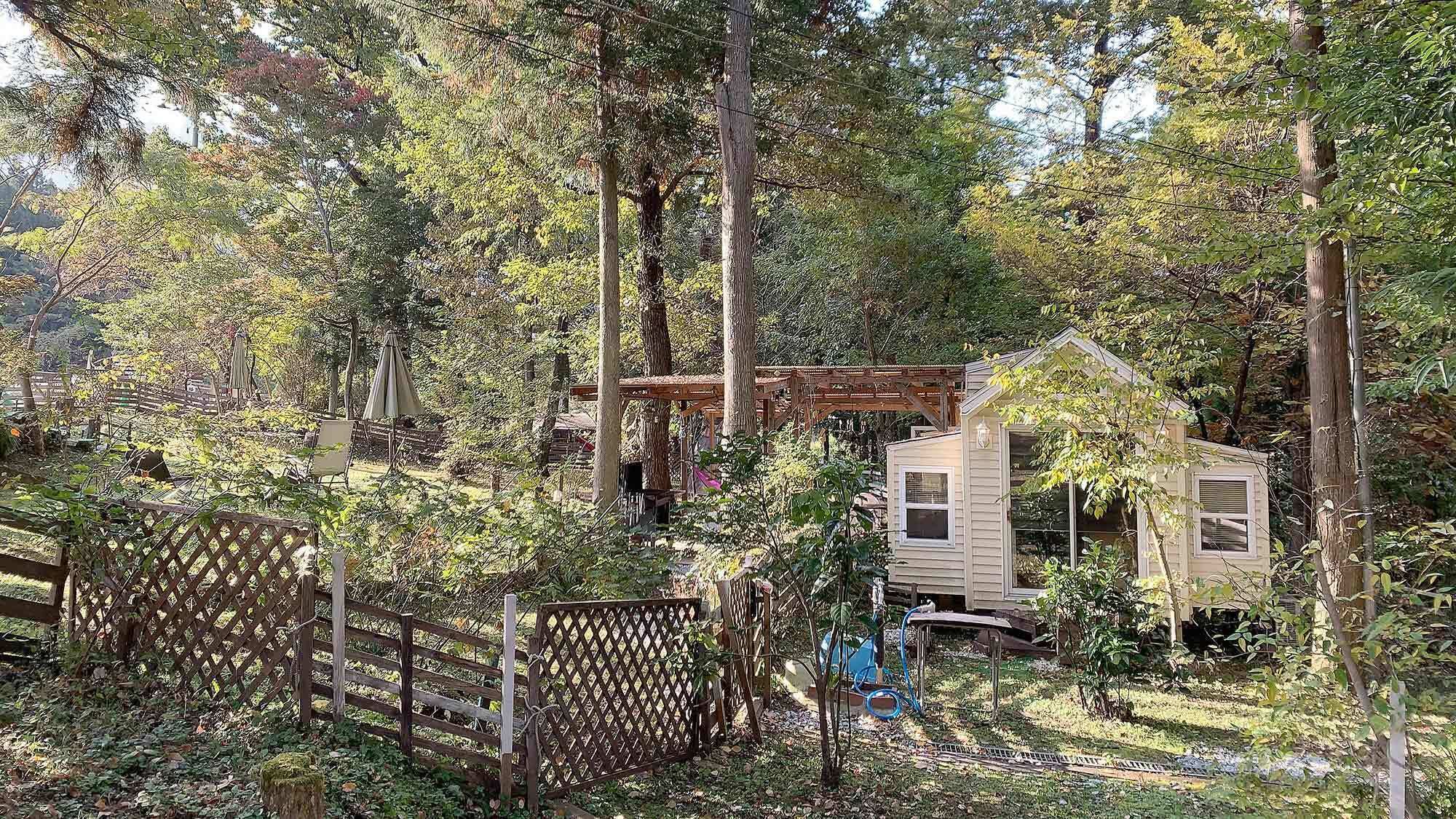 Una cabaña pequeña rodeada de un bosque frondoso, con una terraza de madera y una cerca metálica.