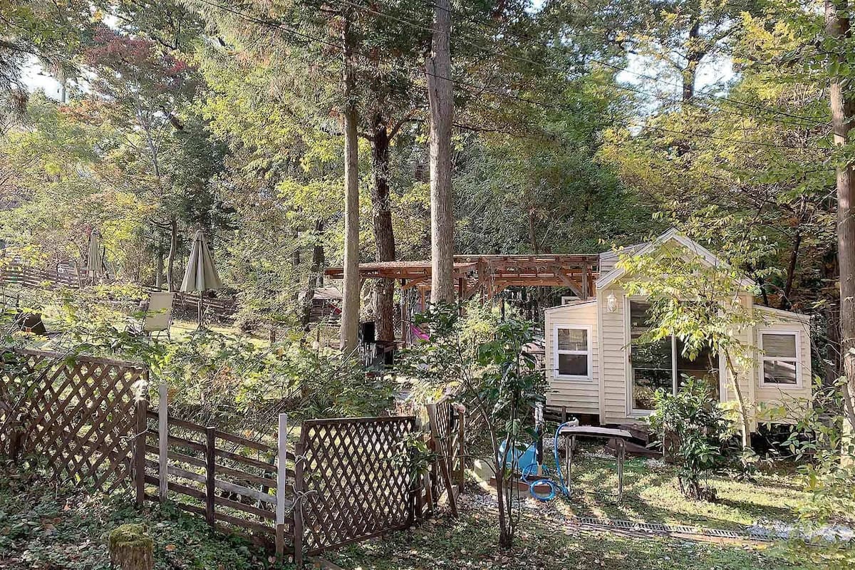 Una cabaña pequeña rodeada de un bosque frondoso, con una terraza de madera y una cerca metálica.