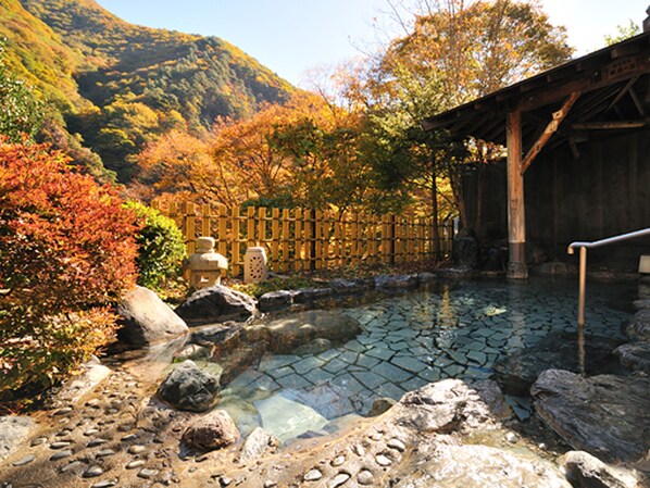 Body treatments, facials, massages - Ginshotei Awashima (Numata)