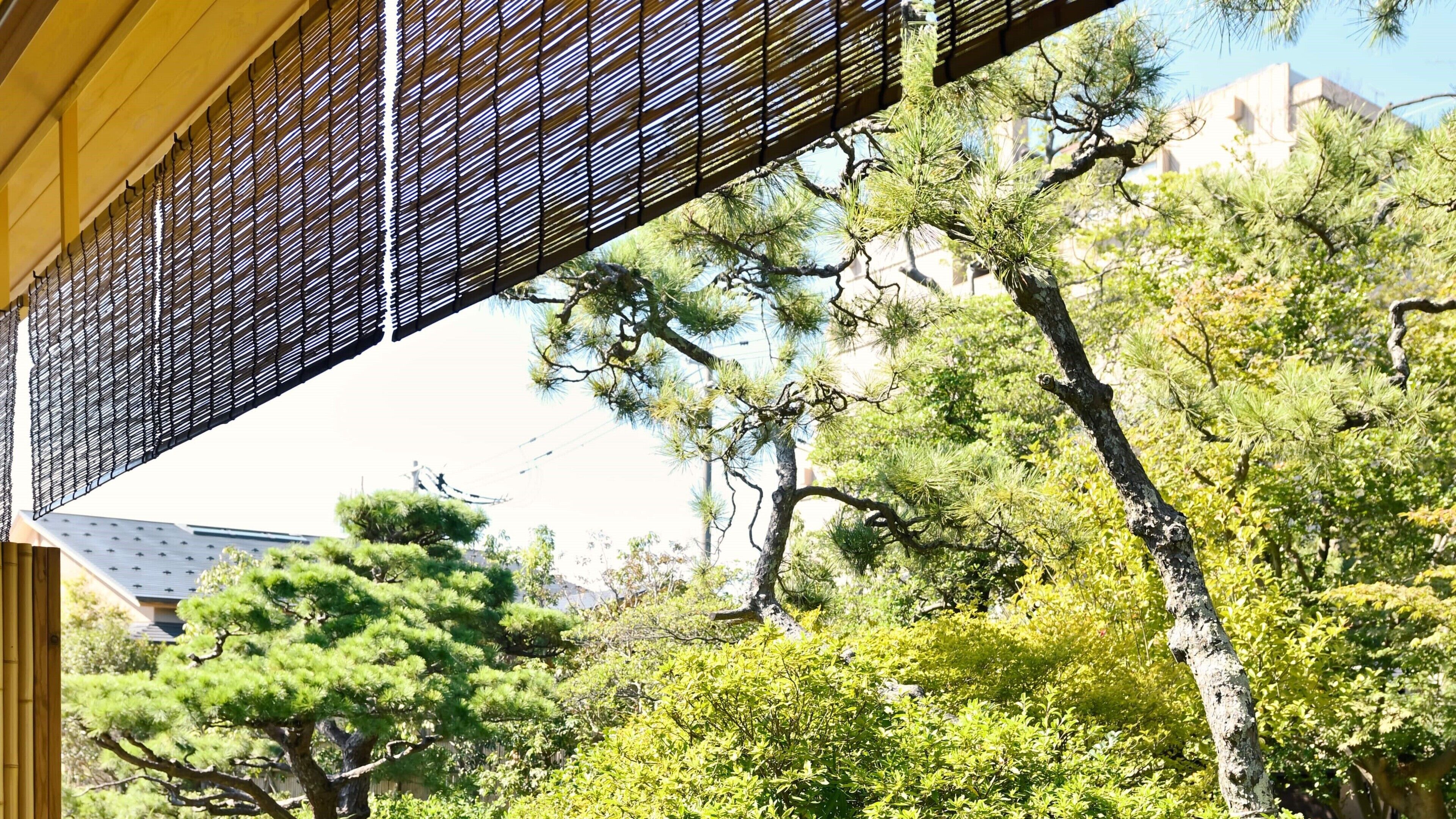 A traditional Japanese building with a wooden structure and a bamboo screen.
