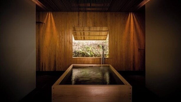 Een houten sauna met een houten bankje en een raam met uitzicht op een tuin.