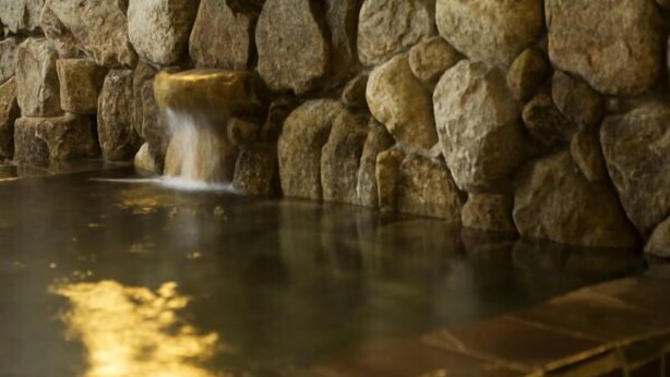 A stone wall with a water feature, a stone pool, and a tiled edge. - Takamatsu Hotel Sakika (Takamatsu)