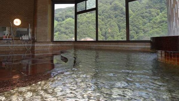Unclassified image, 1 of 37, button - Kurobe Gorge Truck Train Ekimae Feel Unazuki (Kurobe)