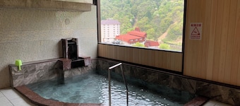 Kurobe Gorge Truck Train Ekimae Feel Unazuki