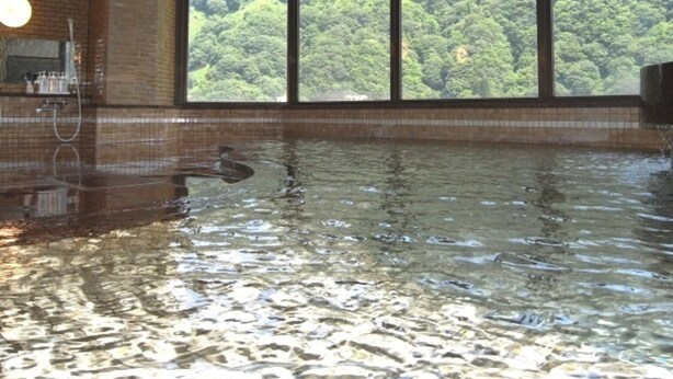 An indoor swimming pool with a view of a forest through large windows.