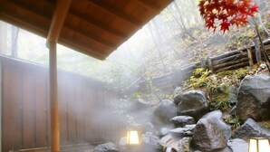 Spa - Seikanso (Shibukawa)