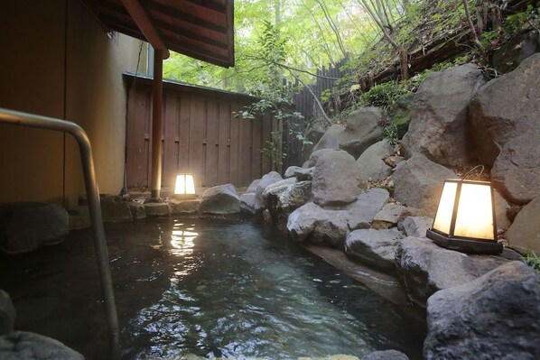 Spa - Seikanso (Shibukawa)