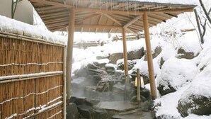 Spa - Seikanso (Shibukawa)